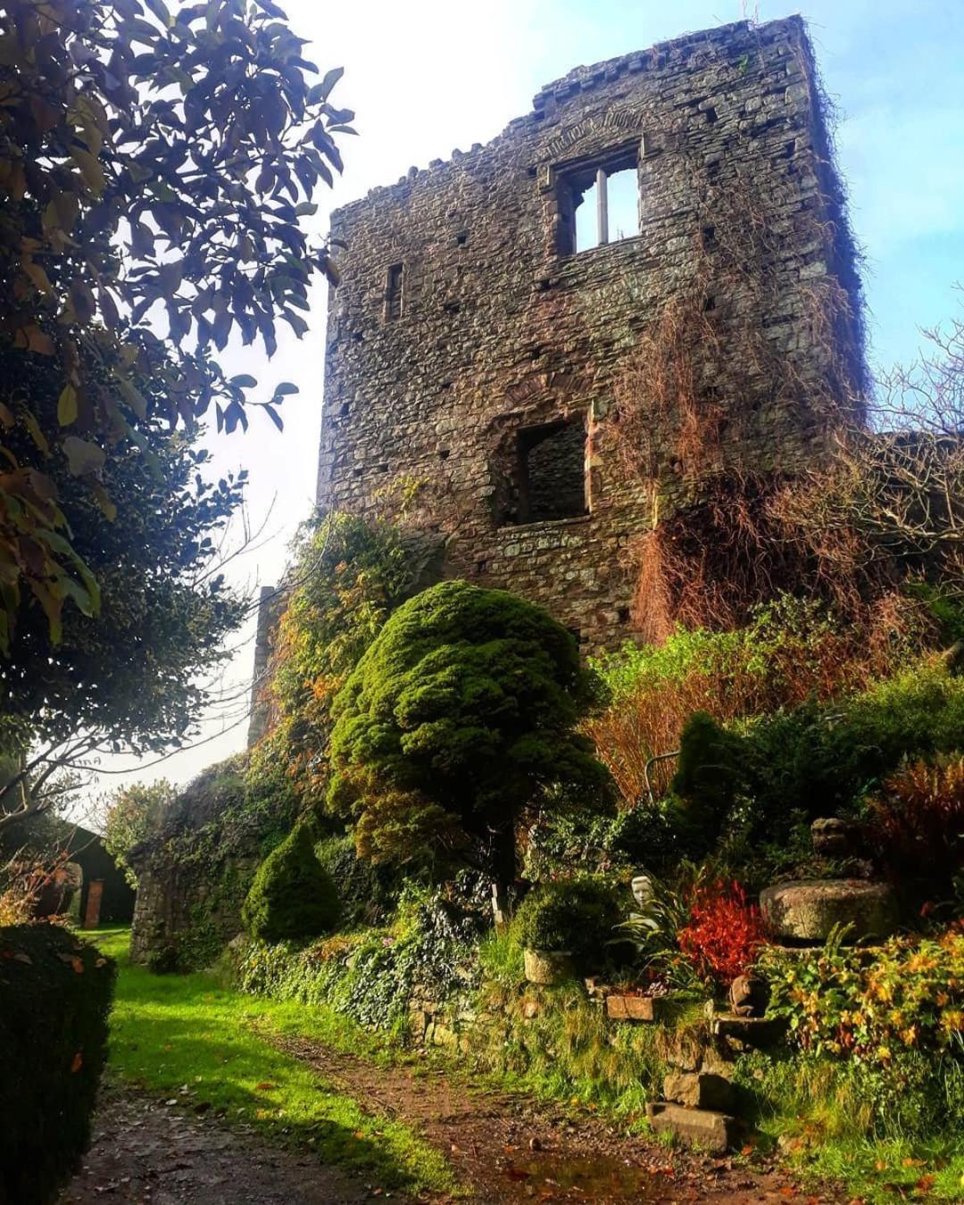 Poplars Cottage Usk Bagian luar foto